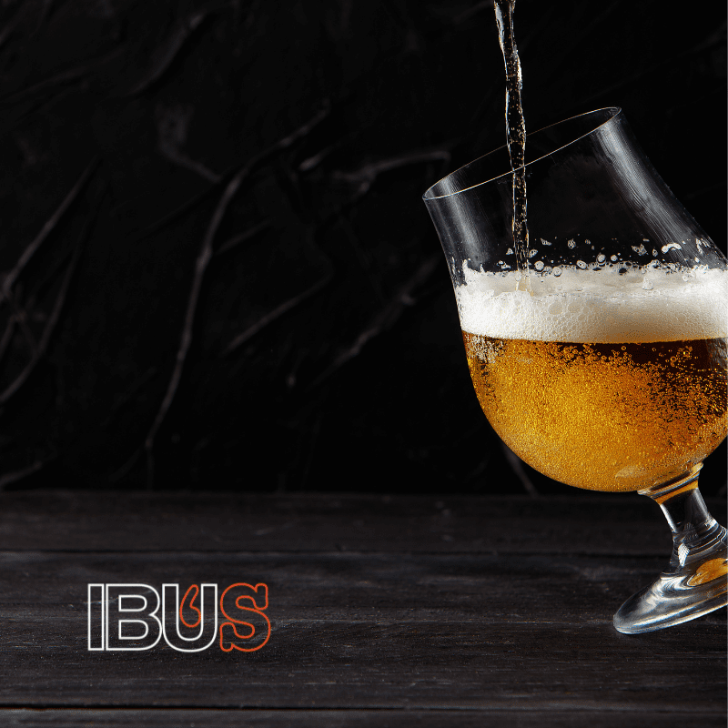 una copa mostrando las burbujas en la cerveza