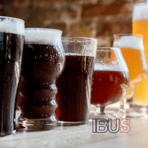 Variedad de estilos de cerveza con distintos colores y texturas.