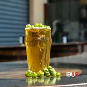 Vaso de cerveza con lúpulo fresco ilustrando el IBU en cervezas.